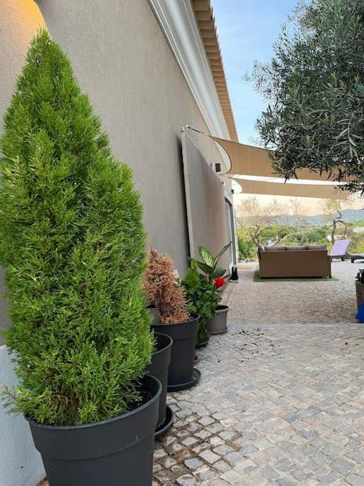 Quinta Da Alfarrobeira Peaceful Countryside Stay Distrikt Distrikt Faro Exterior foto